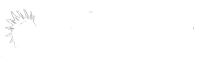 PunkCase® UK logo